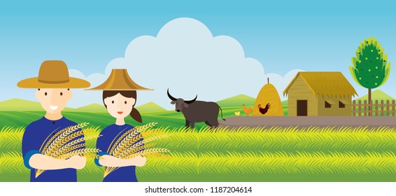 Thai Farmer with Rice and Paddy Field Background, Thailand Occupation and Countryside Scene