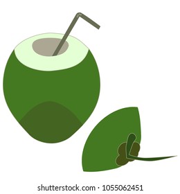 Thai fruit , Coconut , Vector illustration