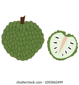 Thai fruit , Custard apple , Vector illustration