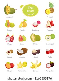 Thai fruits set of lush food vector. Longan and sugar apple, salak and coconut, citron and carambola. Chompoo and pomelo, papaya and pineapple durian