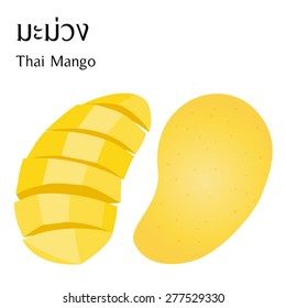 Thai fruits vector on white background with thai alphabet meaning mango