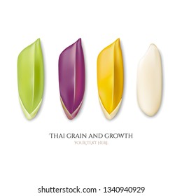 Thai grain and growth, collection, vector illustration and design.