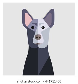 Thai Gray Ridge-back Dog