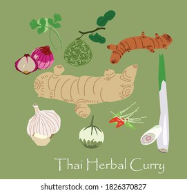 Thai herbal curry ingredients on green background.