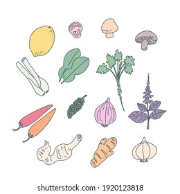 Thai herbs ingredients drawing illustration design of vector.