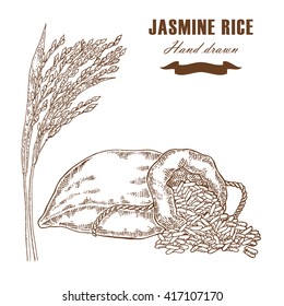 Thai jasmine rice in sack. Rice plant hand drawn. Vector illustration in sketch style