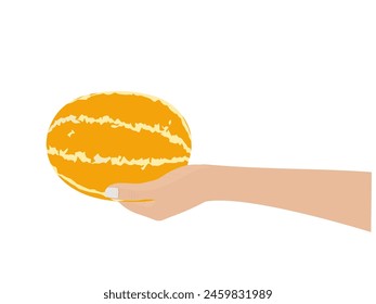 Thai melon on white background.