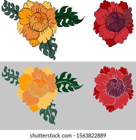 Thai peony flower isolate on white background.Peony tattoo and coloring books.