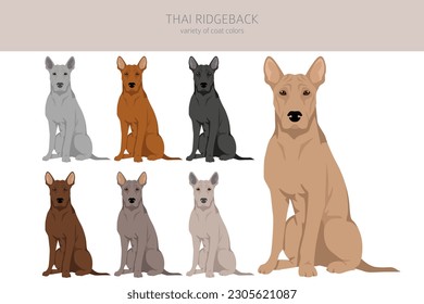 Thai Ridgeback clipart. Different poses, coat colors set.  Vector illustration