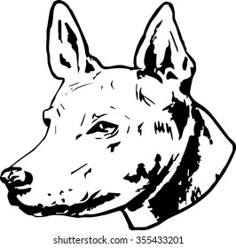 Thai Ridgeback dog hand drawn sketch. Purebred dog snout on white background.