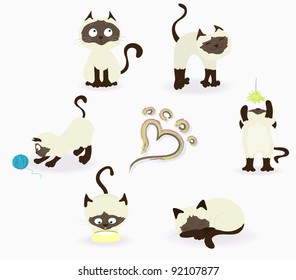 Thai (Siamese) cats in various situations
