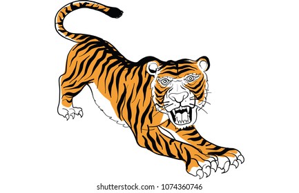 Thai traditional tattoo,  tiger tattoo