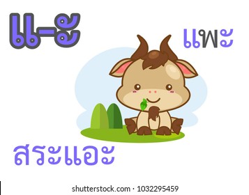 Thai vowels alphabet sara ae and thai word spelling pae or goat with picture of Goat