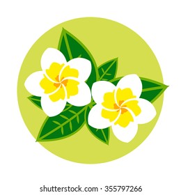 Thailand magnolia emblem, logo, symbol on green round background, flat vector illustration