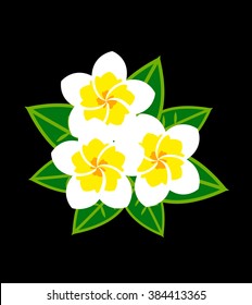 Thailand magnolia emblem, logo, symbol on black background, flat vector illustration