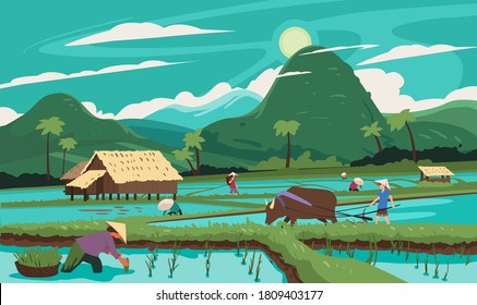 Thailand. Rice terraces agricultural sceneries. Rice fields with asian farmers. Vector illustration. People planting and grow rice in rainy season.