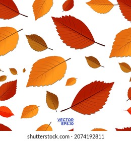 thaksgiving collection  leaf fall pattern new design concept