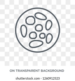 Thalassaemia icon. Trendy flat vector Thalassaemia icon on transparent background from Diseases collection. High quality filled Thalassaemia symbol use for web and mobile