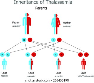 3,016 Thalassemia Images, Stock Photos & Vectors | Shutterstock