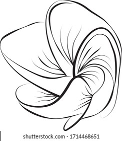 tHand drawn tropical plumeria flower. Vector illustration. Coloring page. Can be used for pattern, print, logotype