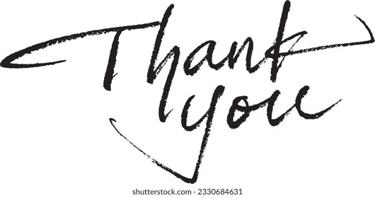 Thank You brush calligraphy lettering. Handwritten text. 