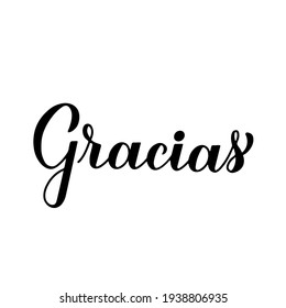 Thank you calligraphy hand lettering in Spanish language isolated on white background. Vector template for wedding thank you card, tag, banner, poster, label, sticker etc.