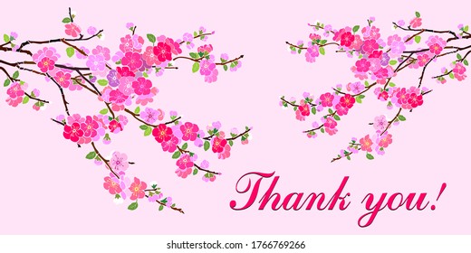 Thank you calligraphy text on a pink background. Sakura flowers. Horizontal card format for web banner or header. Vector Illustration 