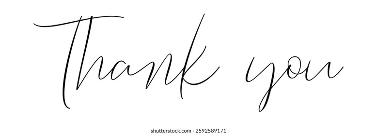 Thank you calligraphy, thankyou handwritten style, thank you word, thank you greeting, stylize abstract cursive calligraphy thank you text.