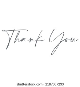 Thank you calligraphy typography vector illustration