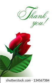 thank you card with red vector rose and green leaves