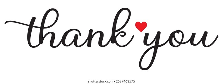 Thank you card, text or lettering. Vector script and handwritten typography. Thank you vintage style word for note, sign, banner. Isolated.