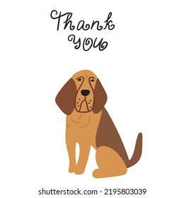 Thank you. Funny bloodhound. Vector hand drawn flat illustration.