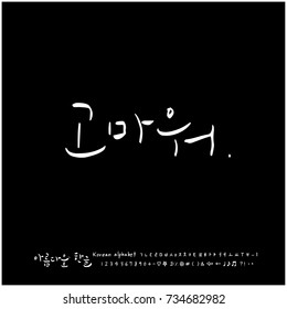 Thank you / Hand drawn Korean alphabet / vector - calligraphy