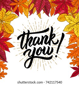 thank you. Hand drawn lettering phrase on background with autumn leaves. Vector illustration.