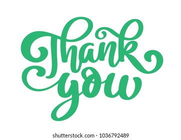 Thank you Hand drawn text phrase. hand lettering word graphic, vintage art print for posters and greeting cards design. Calligraphic quote in green ink. Vector illustration