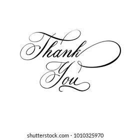 Thank you - hand  lettering vector. Modern calligraphy illustration.