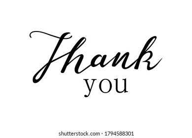 Thank you hand lettering vector