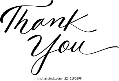 Thank You for handwritten inscription. Hand-drawn lettering. Thank You calligraphy. Thank you hand lettering good for greeting card, flyer, postcard, tshirt design, etc.  Vector illustration.