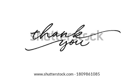 Thank you ink brush vector lettering. Thank you modern phrase handwritten vector calligraphy with swooshes. Black paint lettering isolated on white background. Postcard, greeting card, t shirt print.