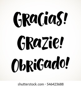 Thank you lettering in spanish, italian, portuguese: Gracias, Grazie, Obrigado! Hand drawn phrase. Handwritten modern brush calligraphy for invitation and greeting card, t-shirt, prints and posters