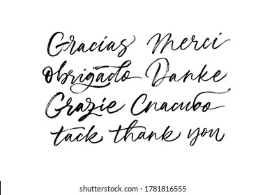 Thank you phrases in different languages. Brush style vector calligraphy. Thank you in Ilalian, Spanish, German, Portuguese, French, Russian. Modern style handwritten lettering. Banner, greeting card