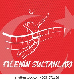 Thank you sultans of the net (
Teşekkürler filenin sultanları
)- crescent and star on red background