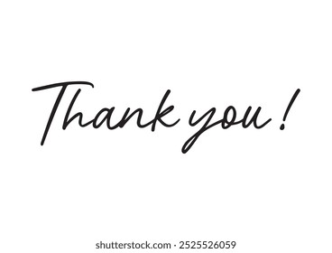 Thank You Text Vector. Thank you text font calligraphy isolated on white background.
