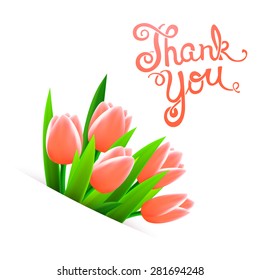 Thank you with tulip flowers, beautiful card, vector illustration