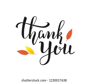 Thank you vector handwritten lettering on white background with leaves