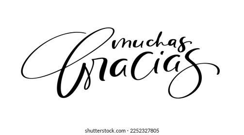 Thank you vector lettering text in spanish Muchas Gracias. Hand drawn phrase. Handwritten modern brush calligraphy for invitation and greeting card, t-shirt, prints and posters.