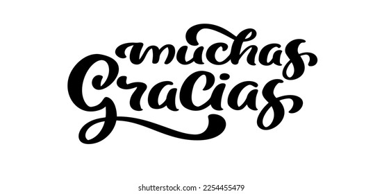 Thank you vector lettering text in spanish Muchas Gracias. Hand drawn phrase. Handwritten modern brush calligraphy for invitation and greeting card, t-shirt, prints and posters.