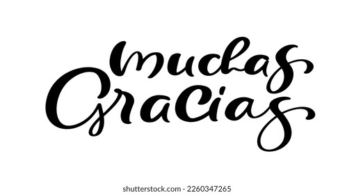 Thank you vector lettering text in spanish Muchas Gracias. Hand drawn phrase. Handwritten modern brush calligraphy for invitation and greeting card, t-shirt, prints and posters.