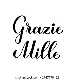 Thank you very much calligraphy hand lettering in Italian language isolated on white background. Vector template for wedding thank you card, tag, banner, poster, label, sticker etc.