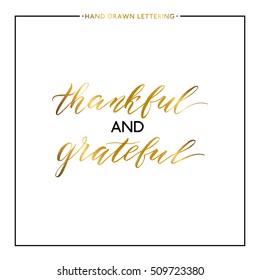 Thankful and grateful gold lettering isolated on white background, hand painted letter, golden vector thanksgiving text for greeting card, poster, banner, print, handwritten calligraphy